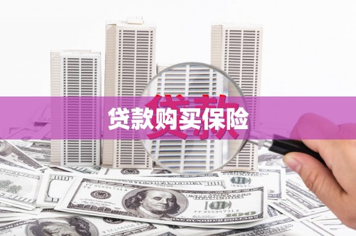 桐城贷款购买保险