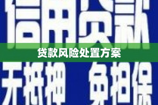 独山贷款风险处置方案