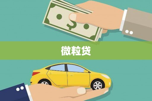 泌阳微粒贷