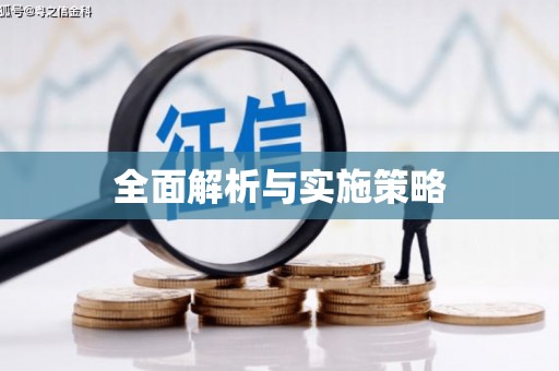 邵武全面解析与实施策略