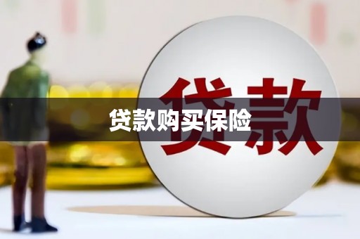 会宁贷款购买保险