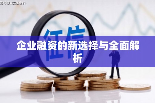 额济纳旗企业融资的新选择与全面解析