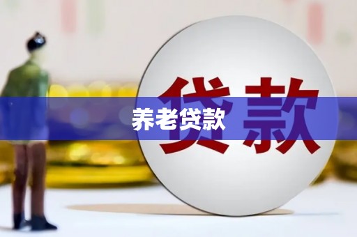潮安养老贷款